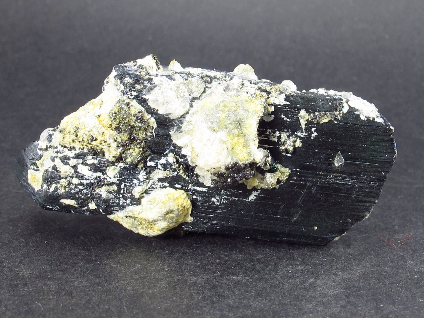 Vivianite Crystal From Bolivia - 2.4"