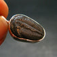 Trilobite Silver Pendant from USA - 1.0" - 1.77 Grams