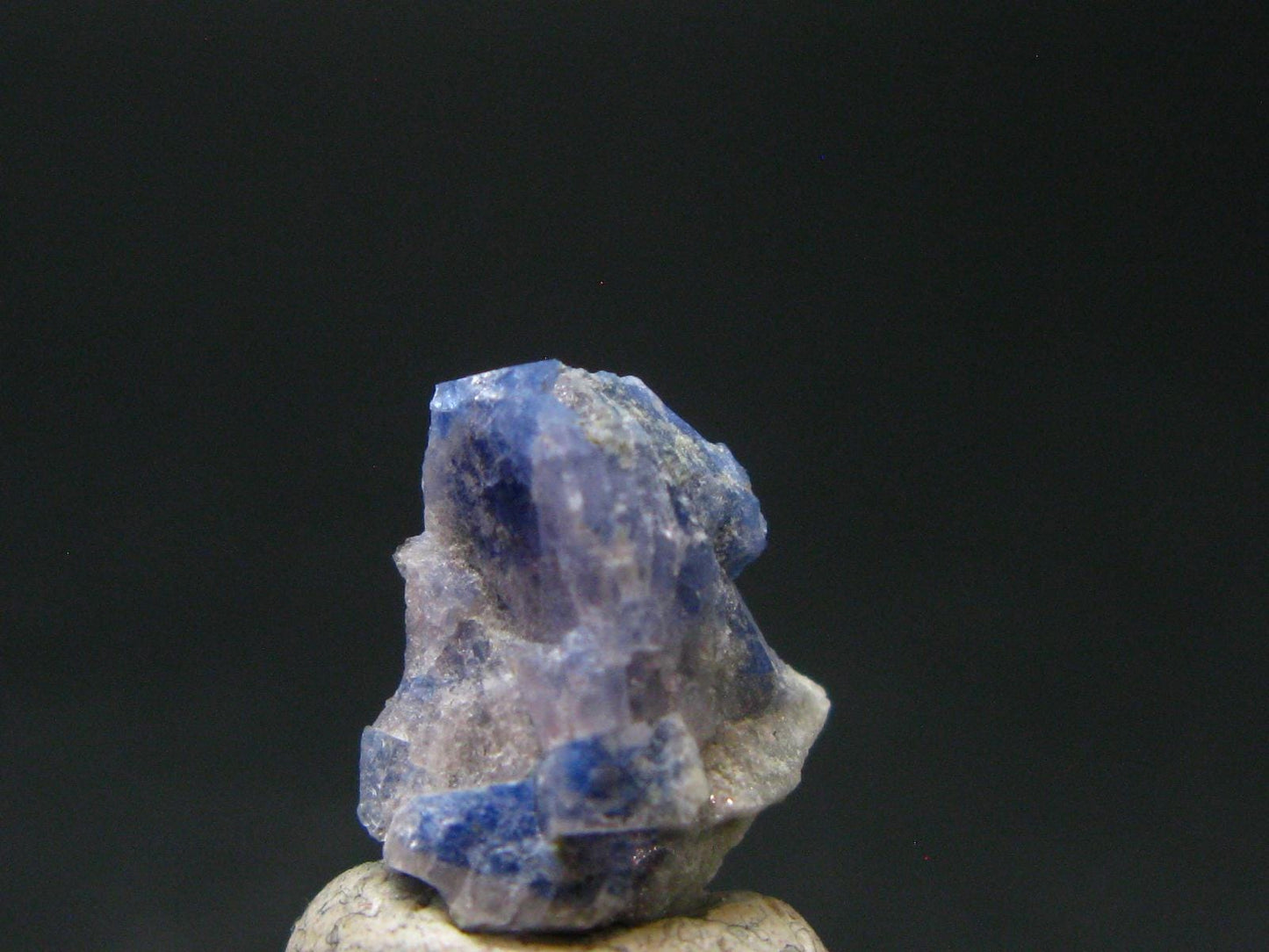 Fine Rare Carletonite Crystal From Mt. St. Hilaire Canada - 0.5" - 0.81 Grams