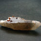 Spessartine Spessartite Garnet On Smoky Quartz Crystal From China - 2.2" - 15.54 Grams