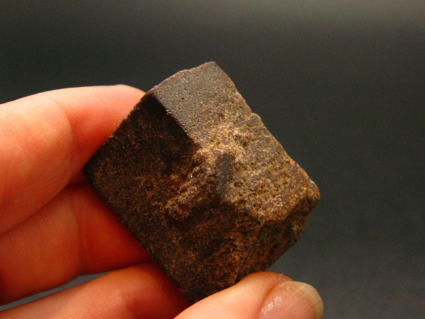 A Perfect Staurolite Crystal from USA - 1.2"