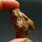 Rare Huge Monazite Crystal From Brazil - 1.5" - 23.96 Grams
