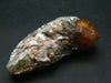 Rare Spessartine Spessartite Orange Garnet Crystal Cluster From Tanzania - 36.56 Grams - 2.1"