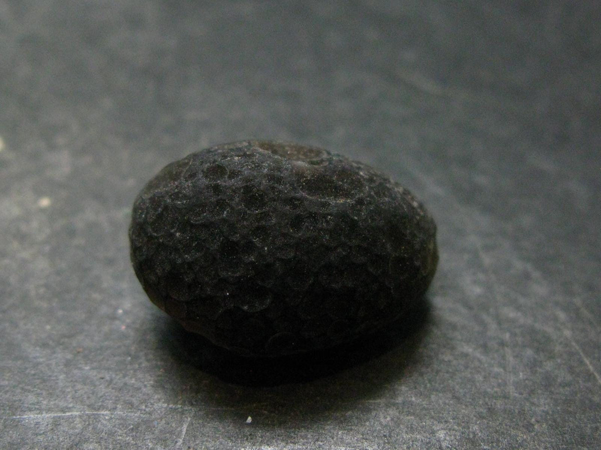 Rare Saffordite Cintamani Stone Pseudotektite Piece from Arizona USA - 34.05 Carats - 0.9"