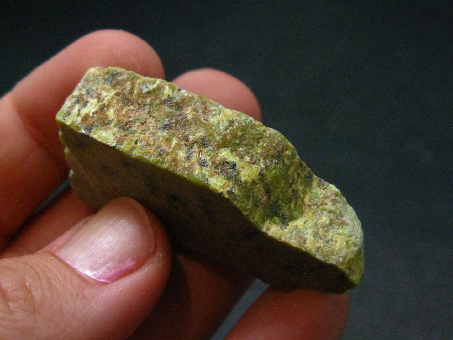 Rare Atlantasite Stichtite + Serpentine from Australia - 1.6"