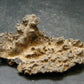Large Fulgurite Lightning Rock From Sahara Desert - 2.3" - 6.26 Grams