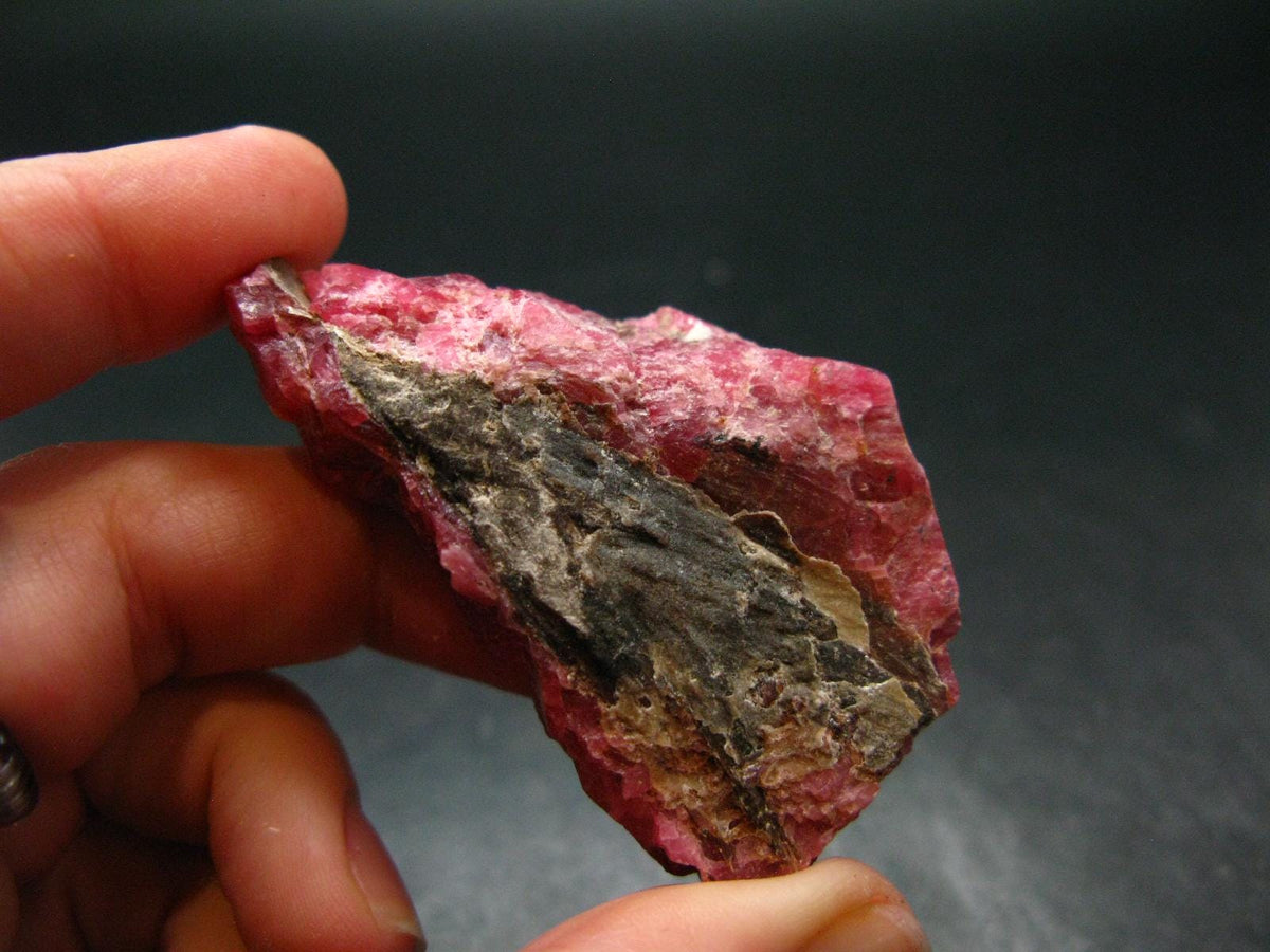 Large Rhodonite Rodonite Crystal From Brazil - 56.43 Grams - 2.3"