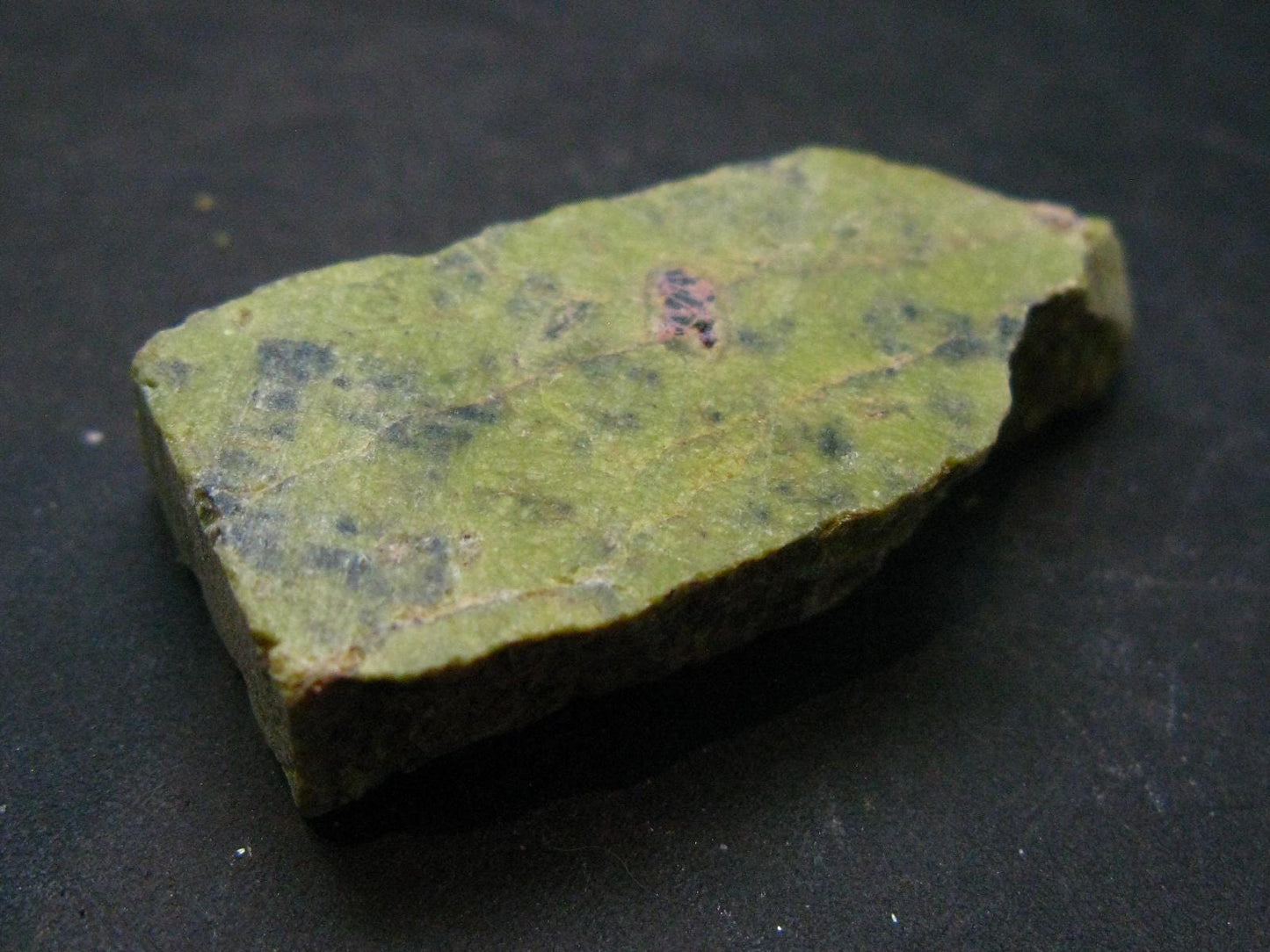 Rare Atlantasite Stichtite + Serpentine from Australia - 1.6"