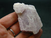 Gem Pink Kunzite Spodumene Crystal From Brazil - 2.2"