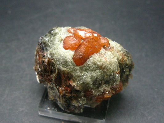 Rare Spessartine Spessartite Orange Garnet Crystal Cluster From Tanzania - 50.3 Grams - 1.7"