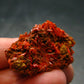 Rare Orange Crocoite Cluster From Australia - 1.2"- 17.08 Grams