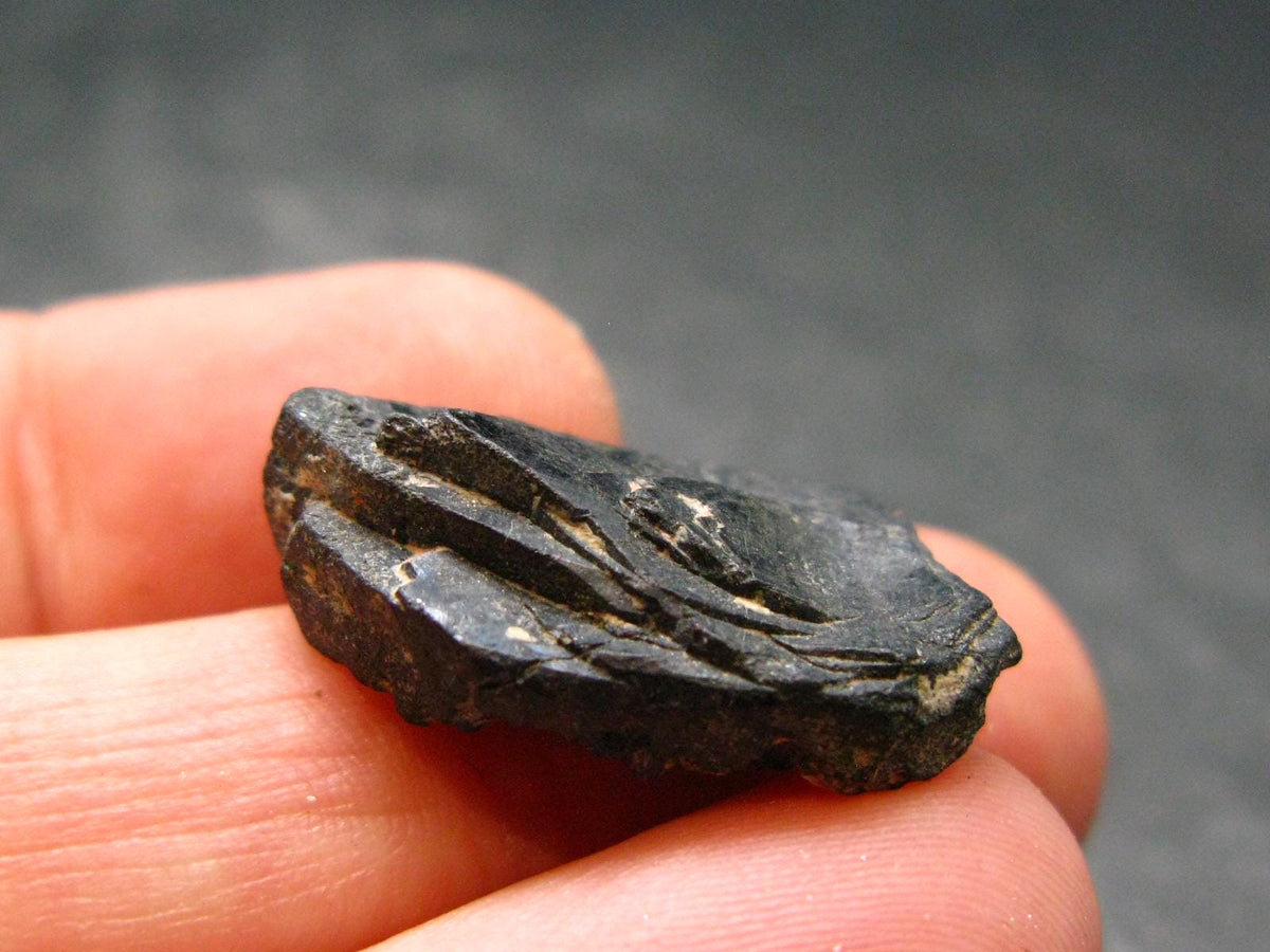 Columbite Crystal From Brazil - 0.9" - 5.32 Grams