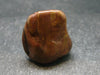 Rare Bustamite Tumbled Stone from South Africa - 1.0" - 15.08 Grams