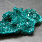 Very Nice Dioptase Cluster from Congo - 2.1" - 13.28 Grams