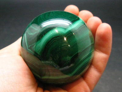 Amazing Rich Vivid Vibrant Green Malachite Sphere Ball From Congo - 2.1"