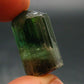 Rare Watermelon Tourmaline Crystal From Brazil - 0.9"