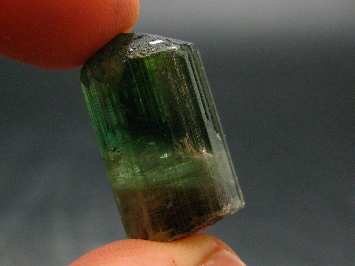 Rare Watermelon Tourmaline Crystal From Brazil - 0.9"