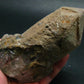 Ajoite In Quartz Crystal From South Africa - 5.3" - 680 Grams