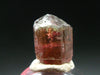 Rare Watermelon Tourmaline Crystal From Brazil - 0.6" - 29.20 Carats