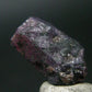 Ruby Crystal from Winza Tanzania - 0.6" - 14.25 Carats