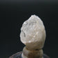 Phenakite Phenacite Crystal from Nigeria - 10.67 Carats