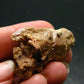 Rare Huge Monazite Crystal From Brazil - 1.5" - 23.96 Grams