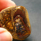 Rare Boulder Opal Piece from Australia - 1.3"