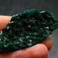 Very Nice Dioptase Cluster from Congo - 2.2" - 11.44 Grams