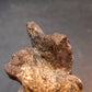 Alexandrite Chrysoberyl Cluster From Zimbabwe - 35.87 Grams - 2.2"