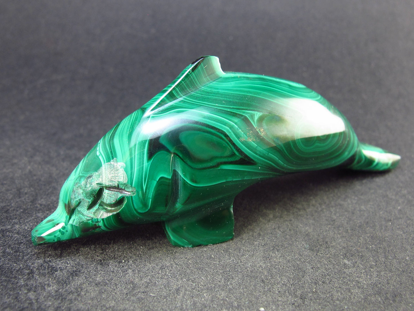 Malachite Dolphin Carving From Congo - 3.2" - 68.7 Grams