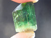 Rare Watermelon Tourmaline Crystal From Brazil - 0.8" - 27.2 Carats