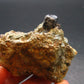 Extremely Rare Perovskite Cluster from Russia - 92.65 Grams - 2.4"