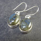 Blue Labradorite Silver Earrings From Madagascar - 4.55 Grams