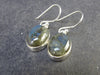 Blue Labradorite Silver Earrings From Madagascar - 4.55 Grams