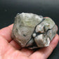 Phenakite Phenacite Crystal From Brazil - 2.7" - 202.4 Grams