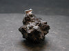 Very Rare Z-Stone (Limonite after Marcasite) Silver Pendant from Sahara Dessert, Egypt - 1.2" - 17.88 Grams