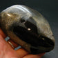 A Perfect Staurolite Polished Crystal on Matrix from Russia - 3.7" - 163.58 Grams