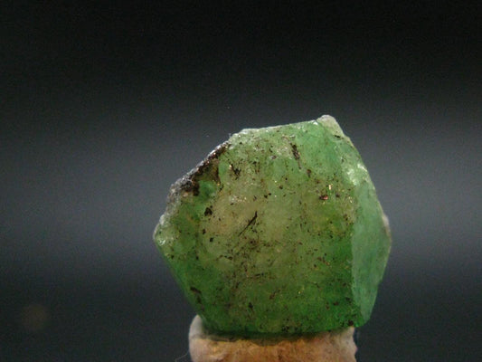 Gem Tsavorite Tsavolite Garnet Crystal From Tanzania - 5.81 Grams - 0.7"