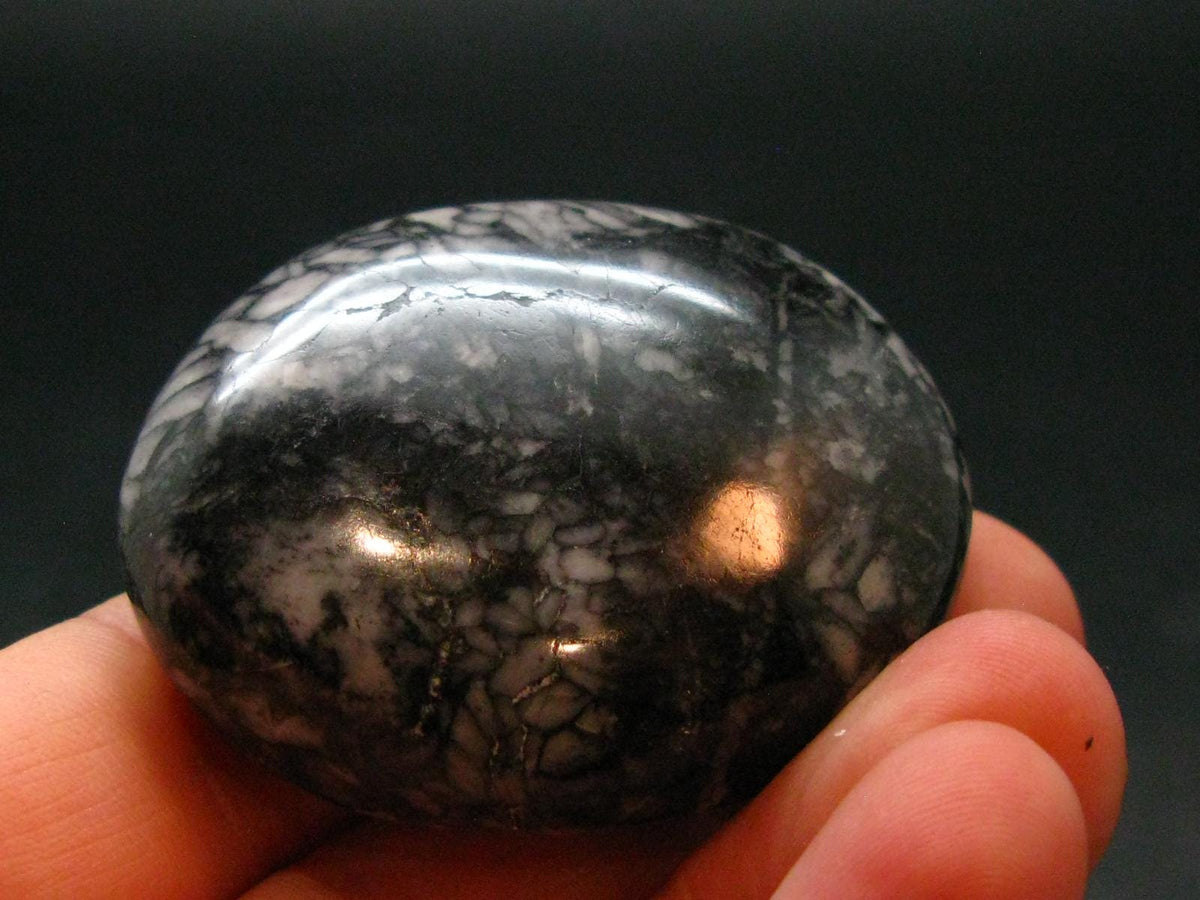 Pinolite Tumbled Stone from Austria - 1.7"