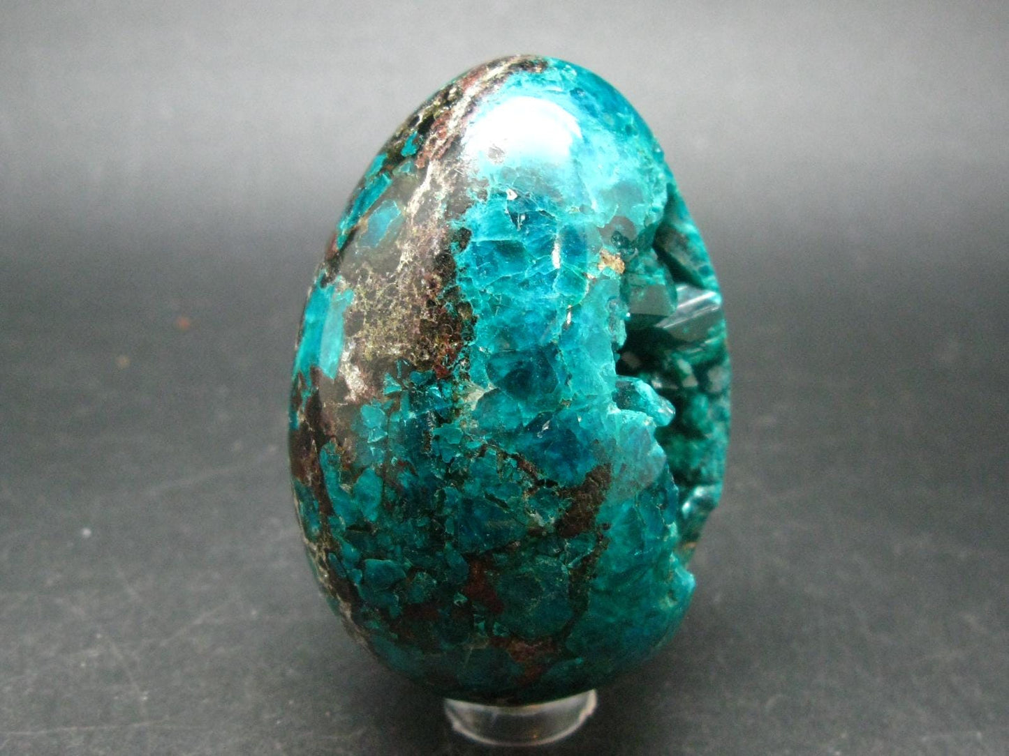 Very Rare Large Dioptase Egg From Congo - 2.7"