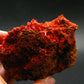 Rare Orange Crocoite Cluster From Australia - 3.7" - 379.03 Grams