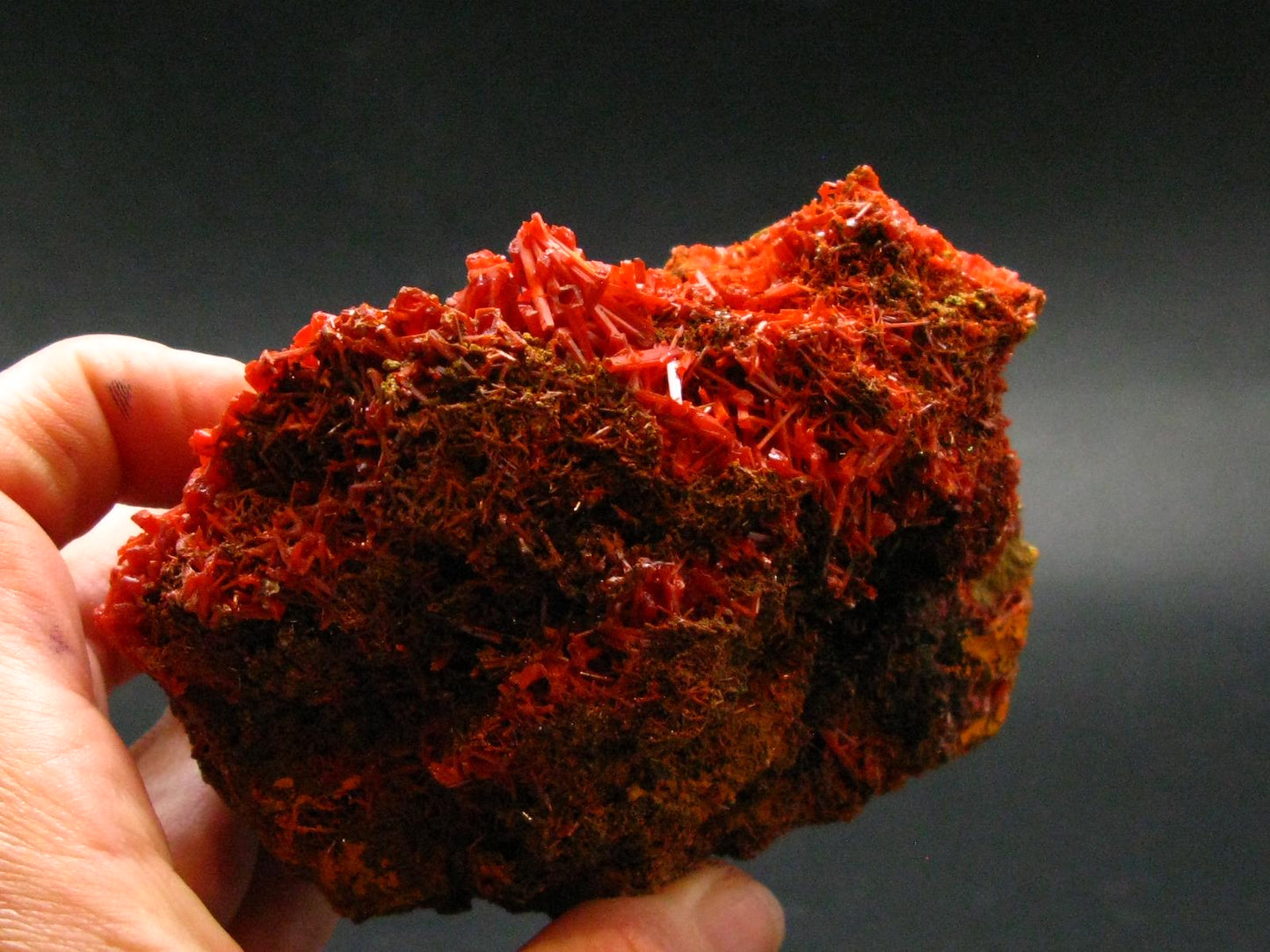 Rare Orange Crocoite Cluster From Australia - 3.7" - 379.03 Grams