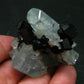 Gem Aquamarine & Black Tourmaline Crystal From Erongo Namibia - 2.1"
