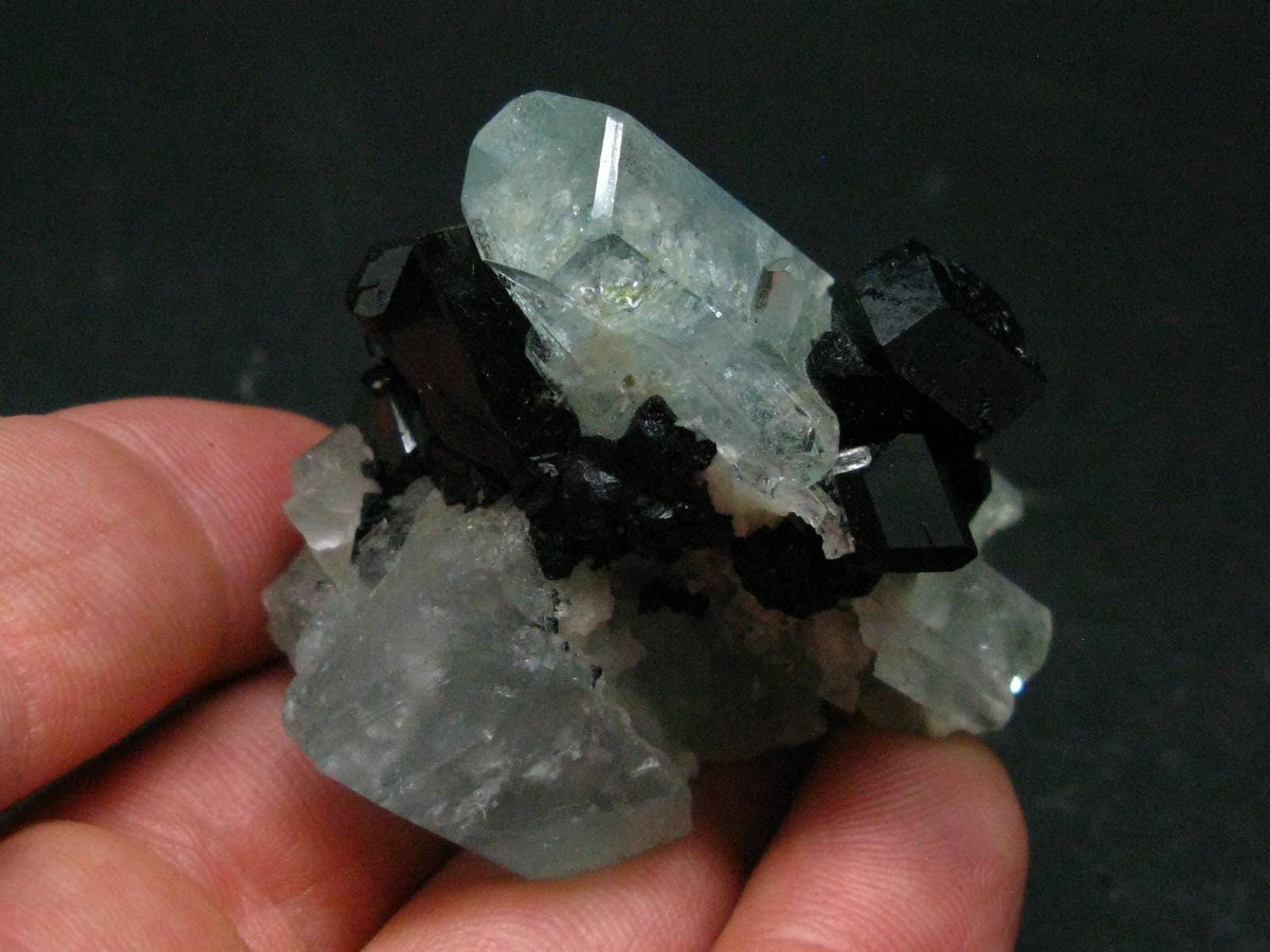 Gem Aquamarine & Black Tourmaline Crystal From Erongo Namibia - 2.1"