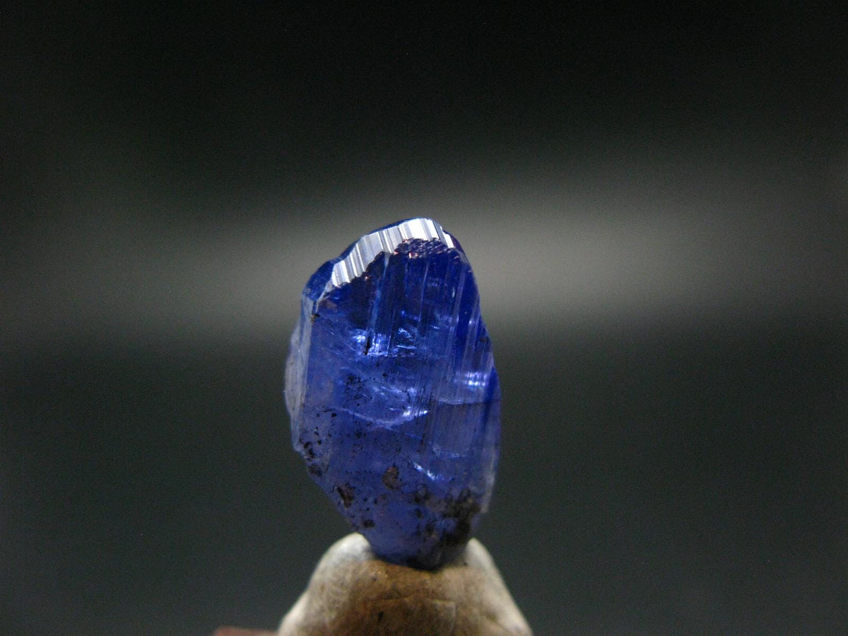Fine Gem Tanzanite Zoisite Crystal From Tanzania - 11.20 Carats - 0.7"