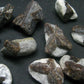 Lot of 10 Perfect Staurolite Crystals from Russia - 30 Grams