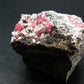 Rhodochrosite Gem Cluster From Peru - 1.8" - 122.83 Grams