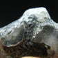 Gem Phenakite Phenacite Crystal From Russia - 46.7 Grams - 2.2"
