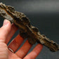 Large Fulgurite Lightning Rock From Sahara Desert - 5.5"