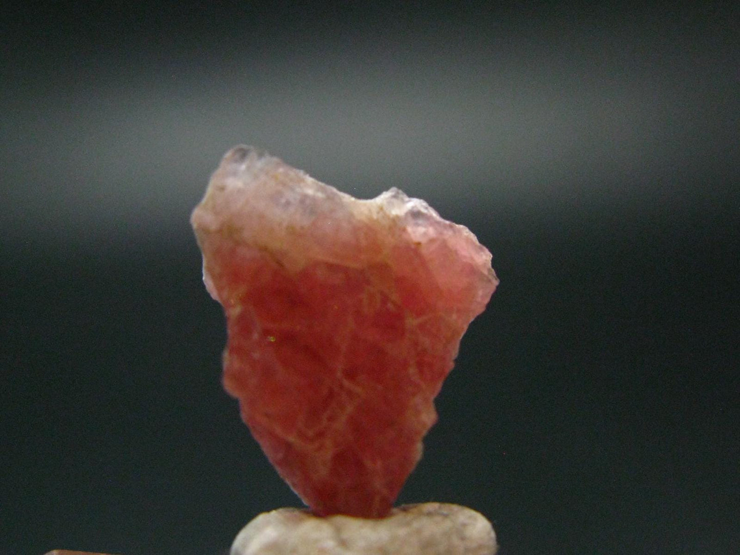 Rare Pezzottaite Crystal from Madagascar - 4.0 Carats - 0.7"